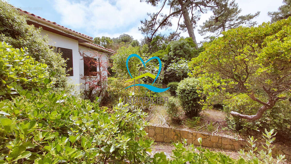 Maison à LEGE-CAP-FERRET