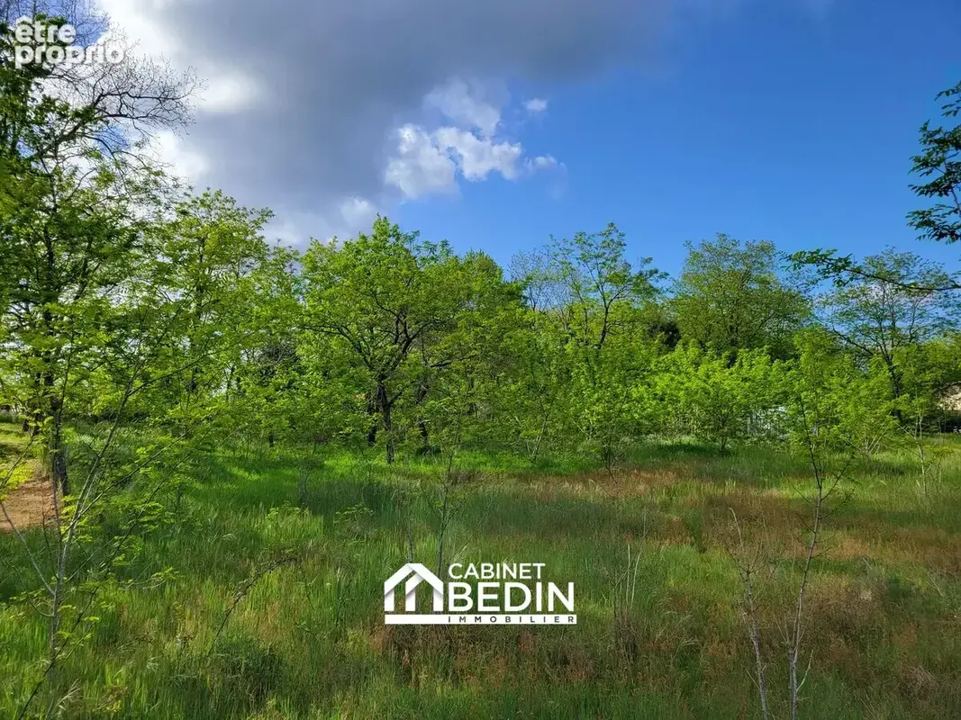 Terrain à BELIN-BELIET