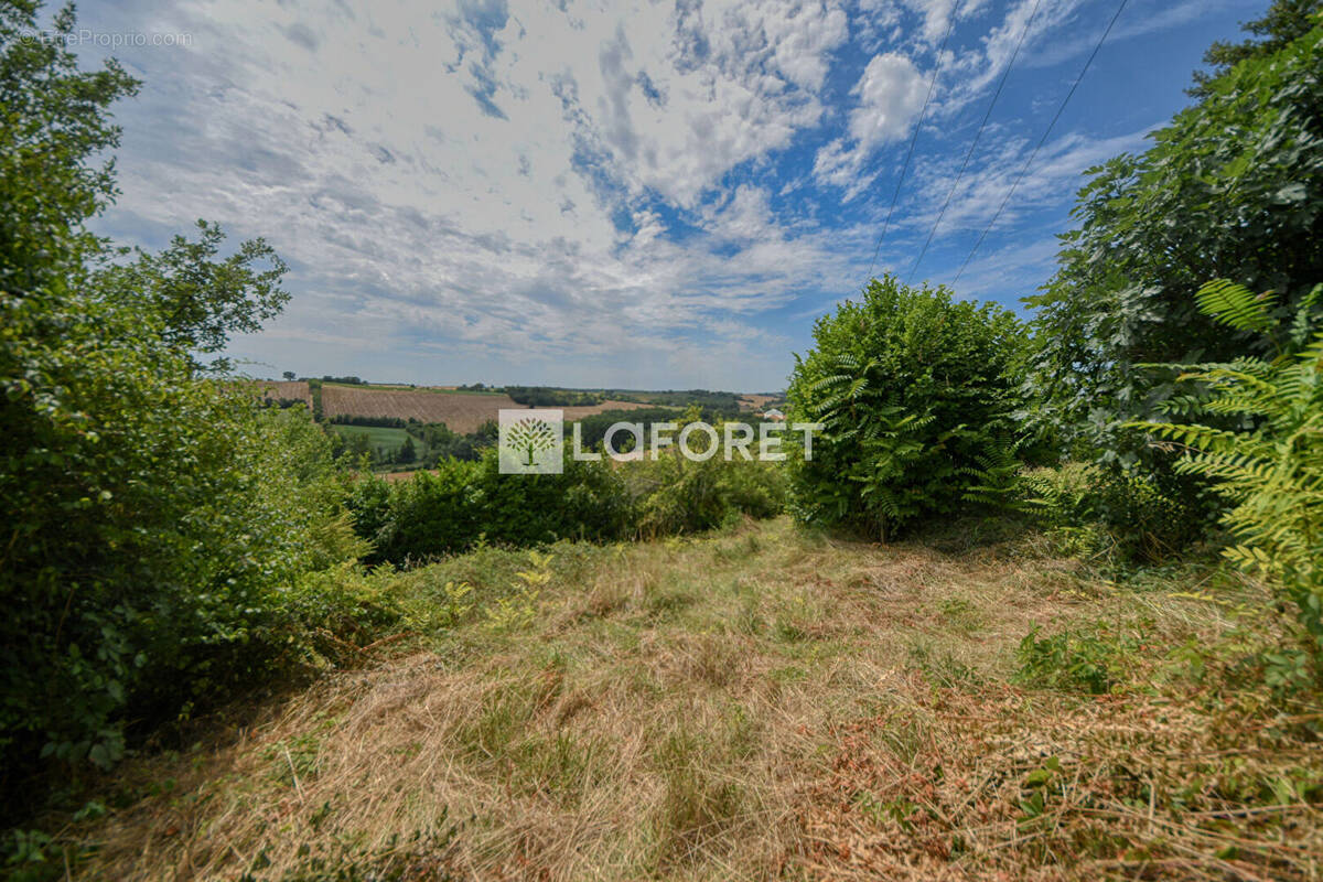Terrain à SALVAGNAC