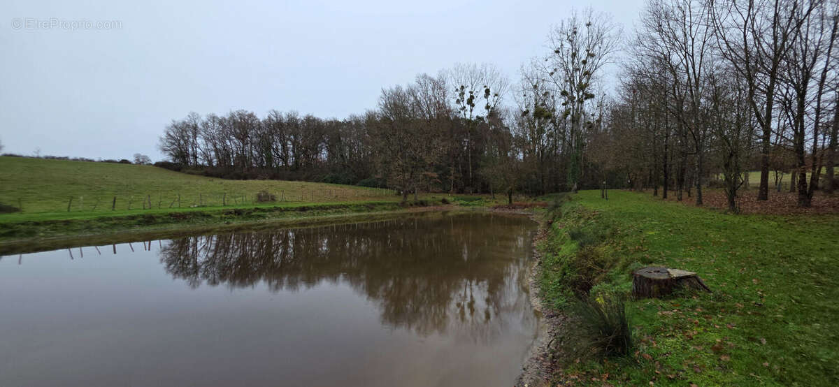 Terrain à TOURNON-SAINT-PIERRE