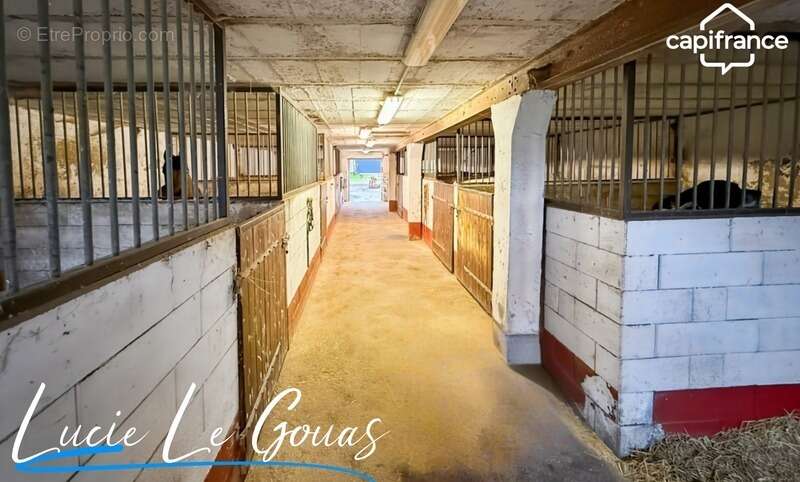 Ferme équestre - photo 4