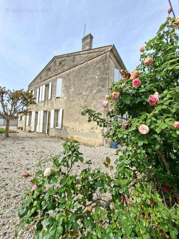 Maison à SAINT-ESTEPHE