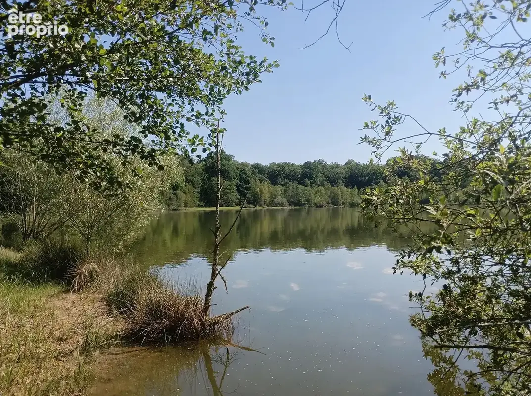 Vente étang de 11 ha environ sur terrain de 14 ha environ AILLONCOURT (70) - photo 4