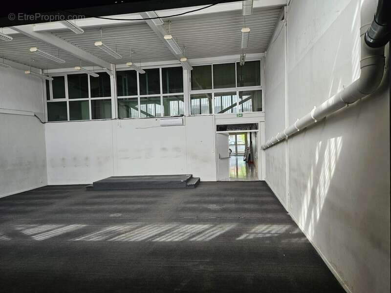 Commerce à LES ABYMES