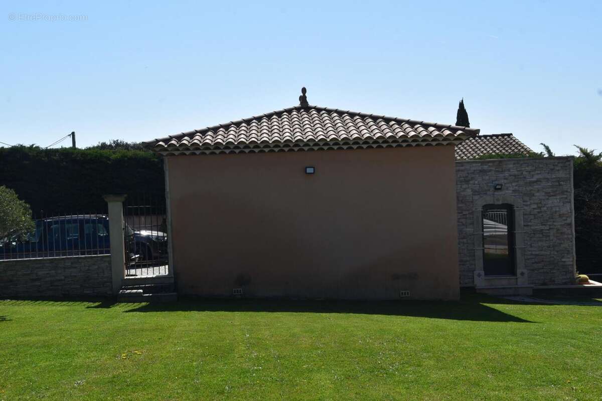 Photo 8