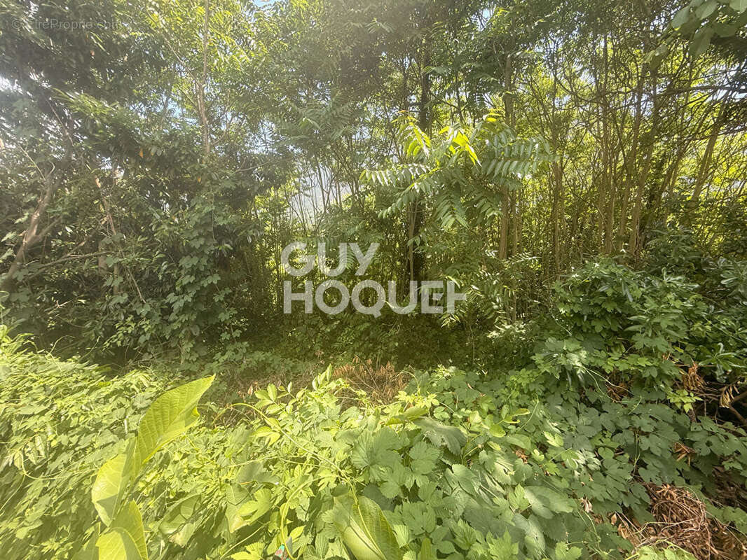 Terrain non constructible - 1 290 m² - Environnement naturel et privilégié - photo 3