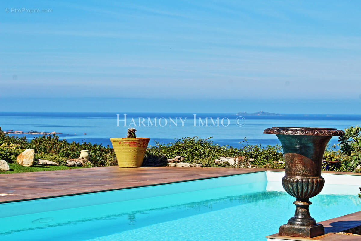 Maison à PIETROSELLA