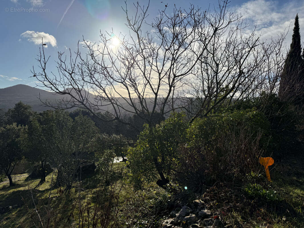 Terrain à LODEVE