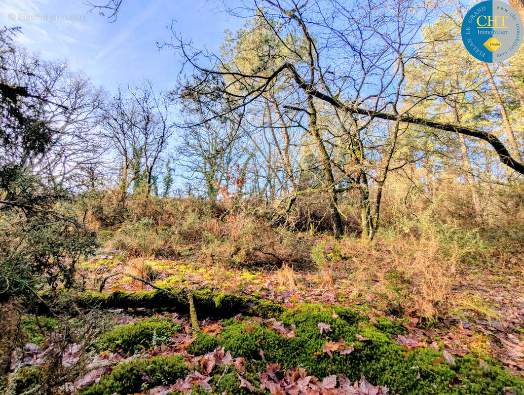 Terrain à BEIGNON