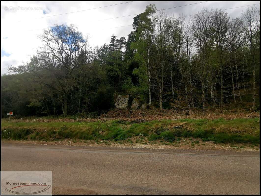 Terrain à SAINT-NABORD