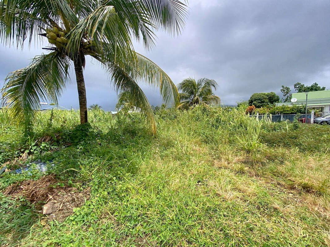 Terrain à CAPESTERRE-BELLE-EAU