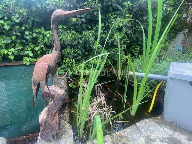 Maison à TOURRETTES