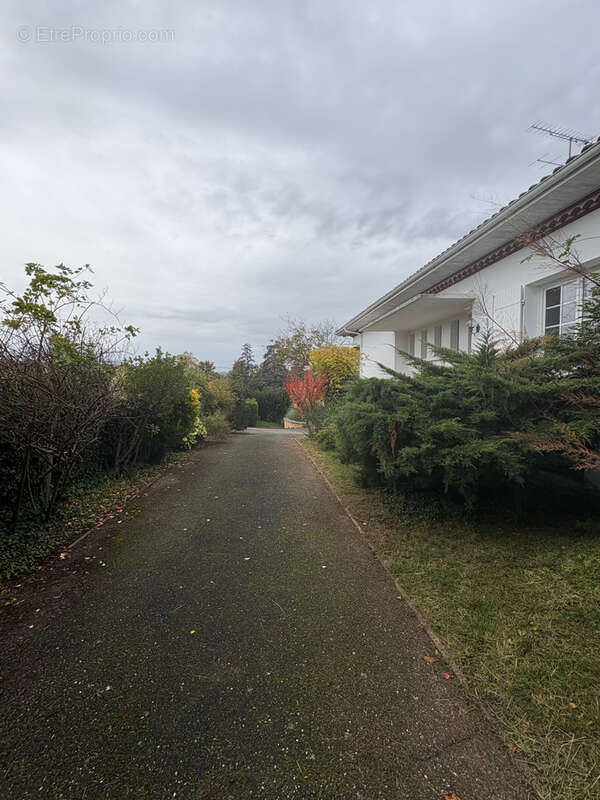 Maison à SAINT-VITE