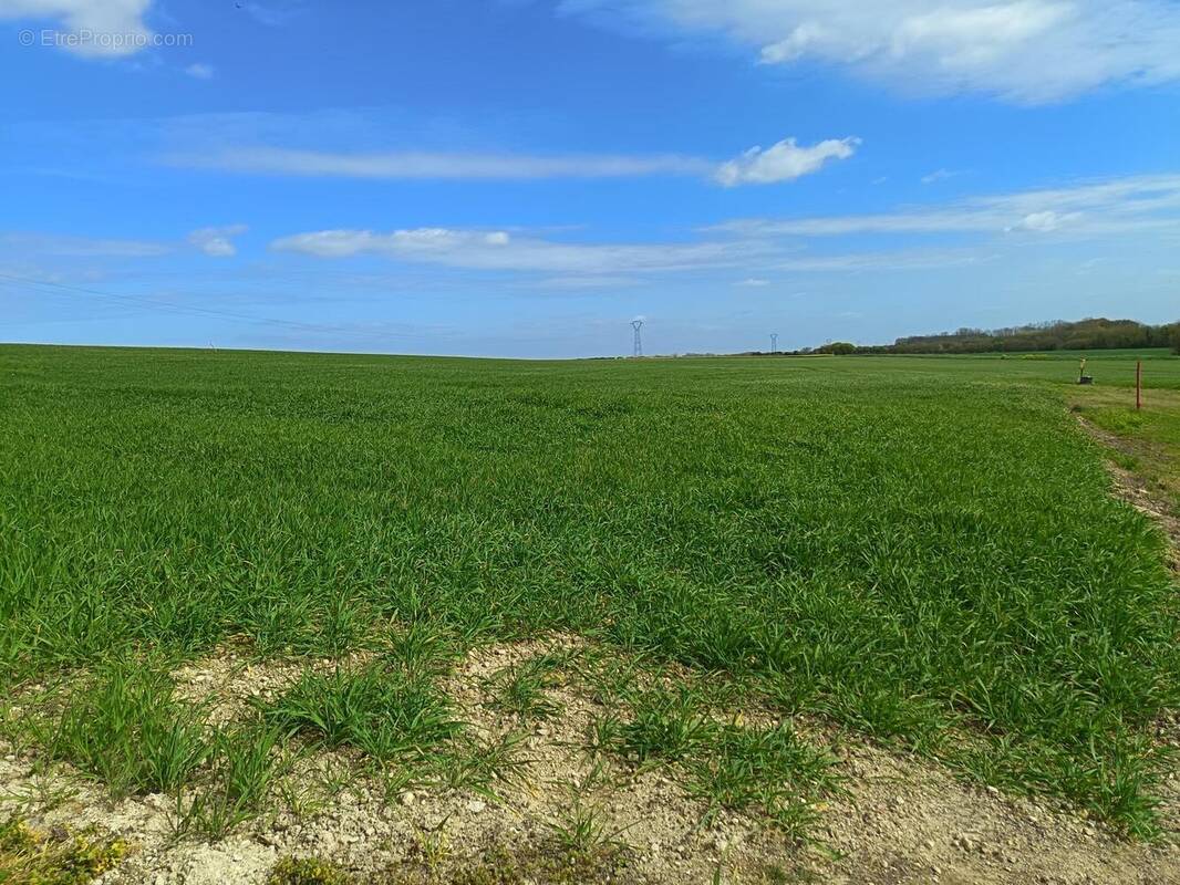 Terrain à ETAULES