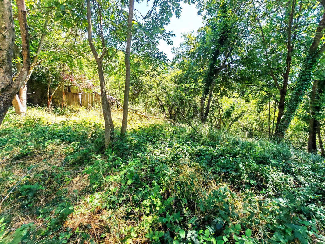 Photo 5 - Maison à BELVEDERE