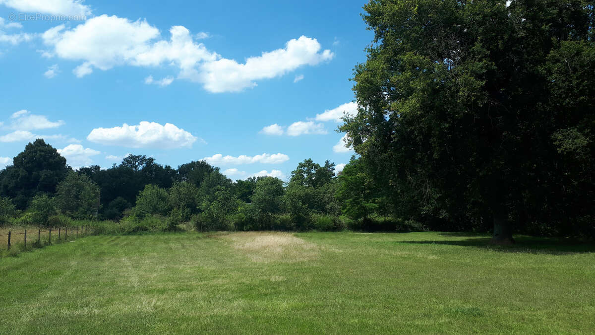 Maison à SAINTE-MAURE-DE-TOURAINE