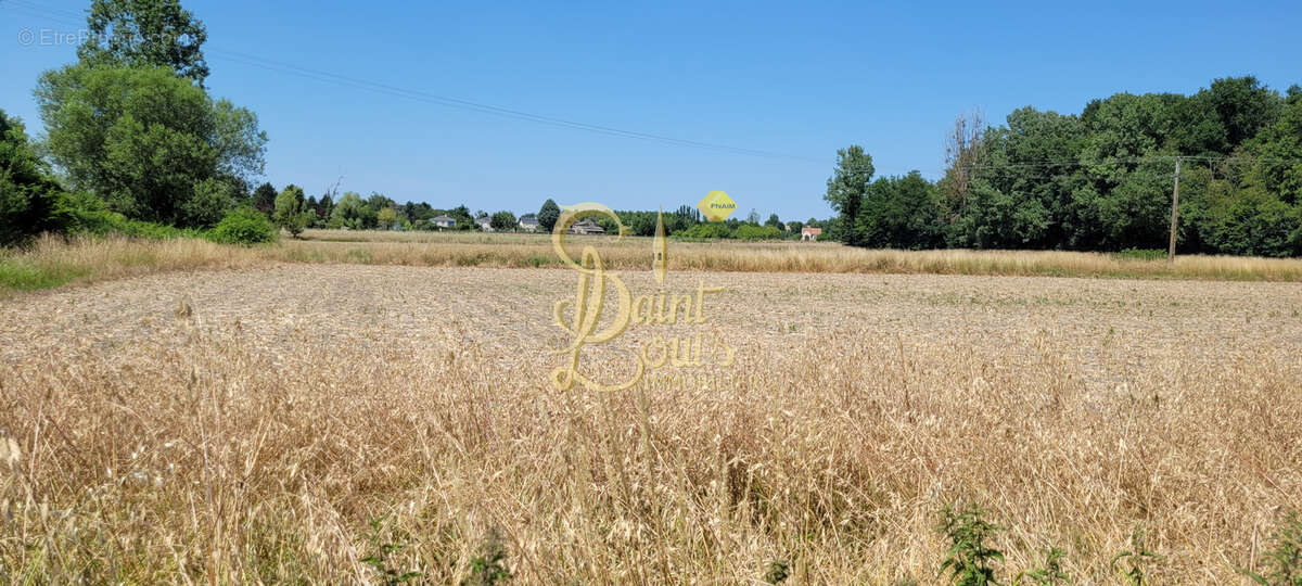 Maison à CHAMPIGNY-SUR-VEUDE