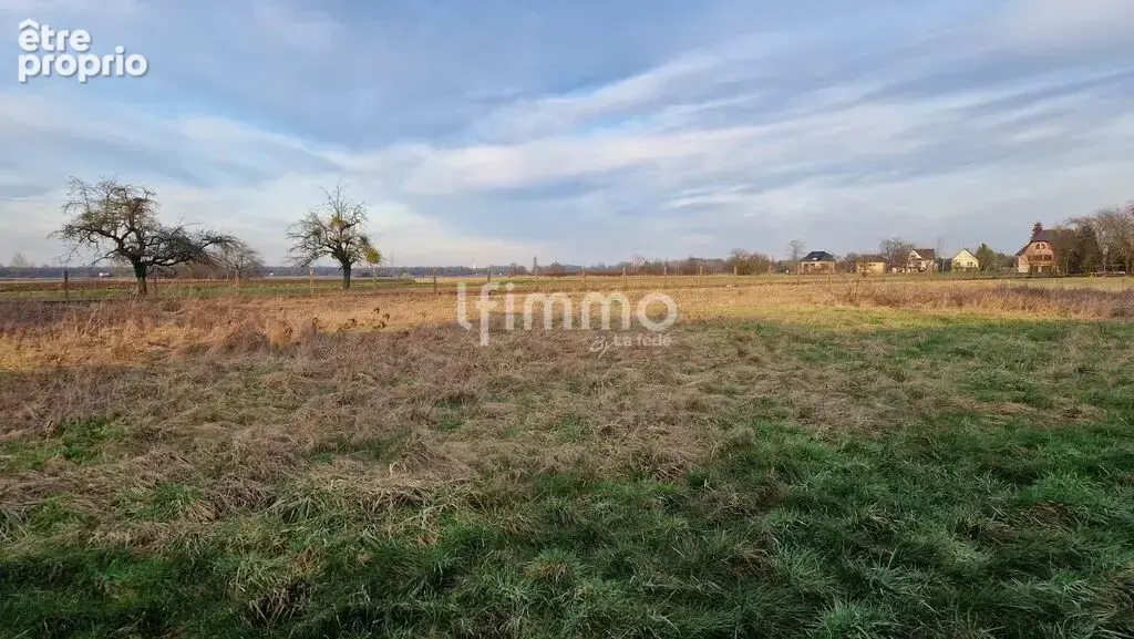 Drusenheim – terrain à bâtir de 1153m² - photo 2