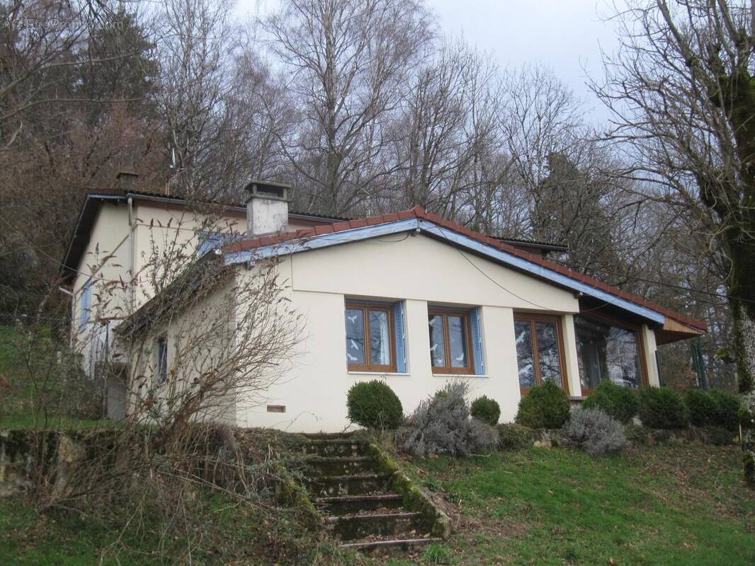 Photo 1 - Maison à VOLLORE-VILLE