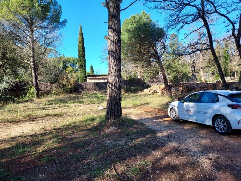 Terrain à CAMPS-LA-SOURCE