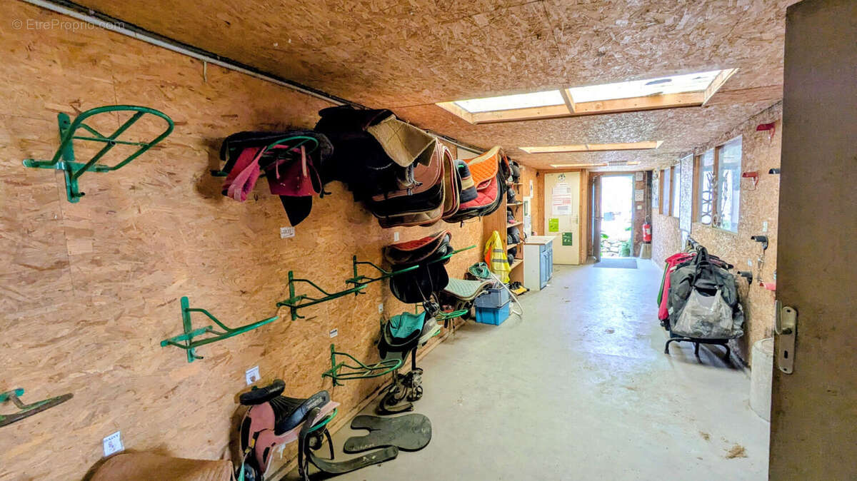 MAISON et gîtes su - GITES - Installations EQUESTRES - photo 13