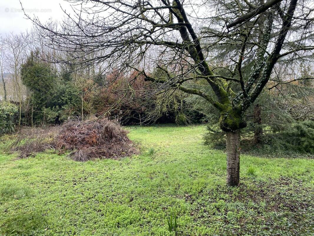 Terrain à CHILLY-MAZARIN