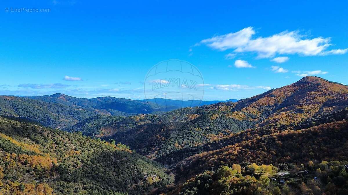 Maison à SAINT-MICHEL-DE-DEZE