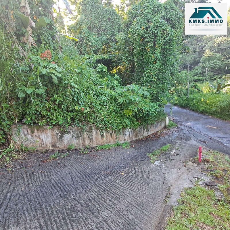 Terrain à RIVIERE-SALEE