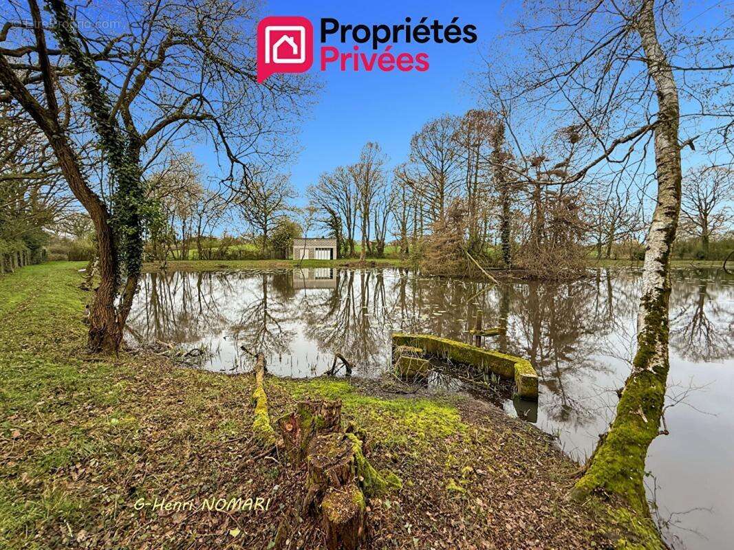 Terrain à MARTIGNE-FERCHAUD
