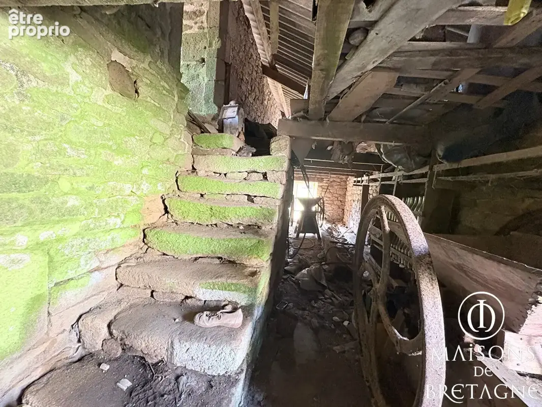 Guiscriff ? Corps de ferme à rénover avec 1,16 ha de terres agricoles et dépendances - photo 10