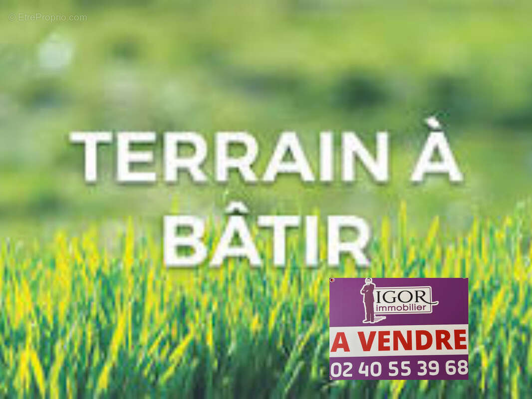Terrain à DERVAL
