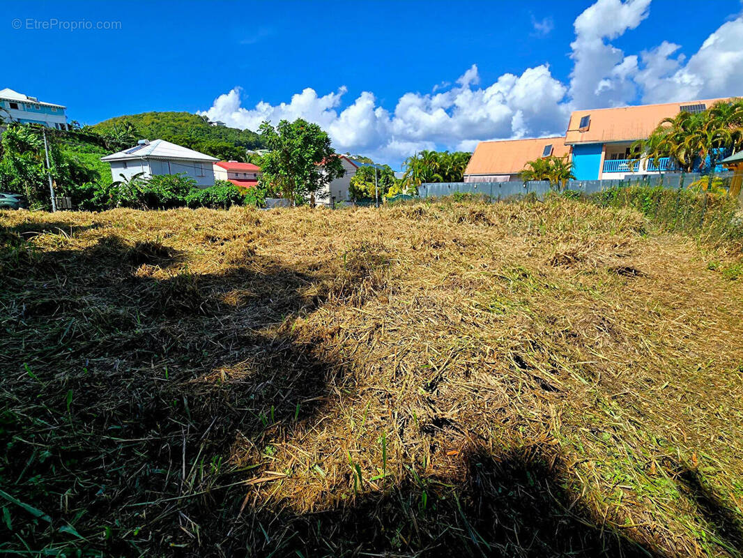 Terrain à LES TROIS-ILETS