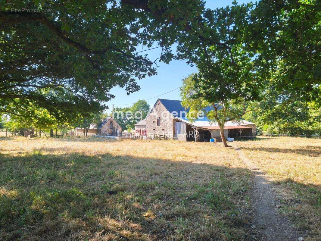 Propriété de 112 m² avec 25000 m² de terrain - photo 12