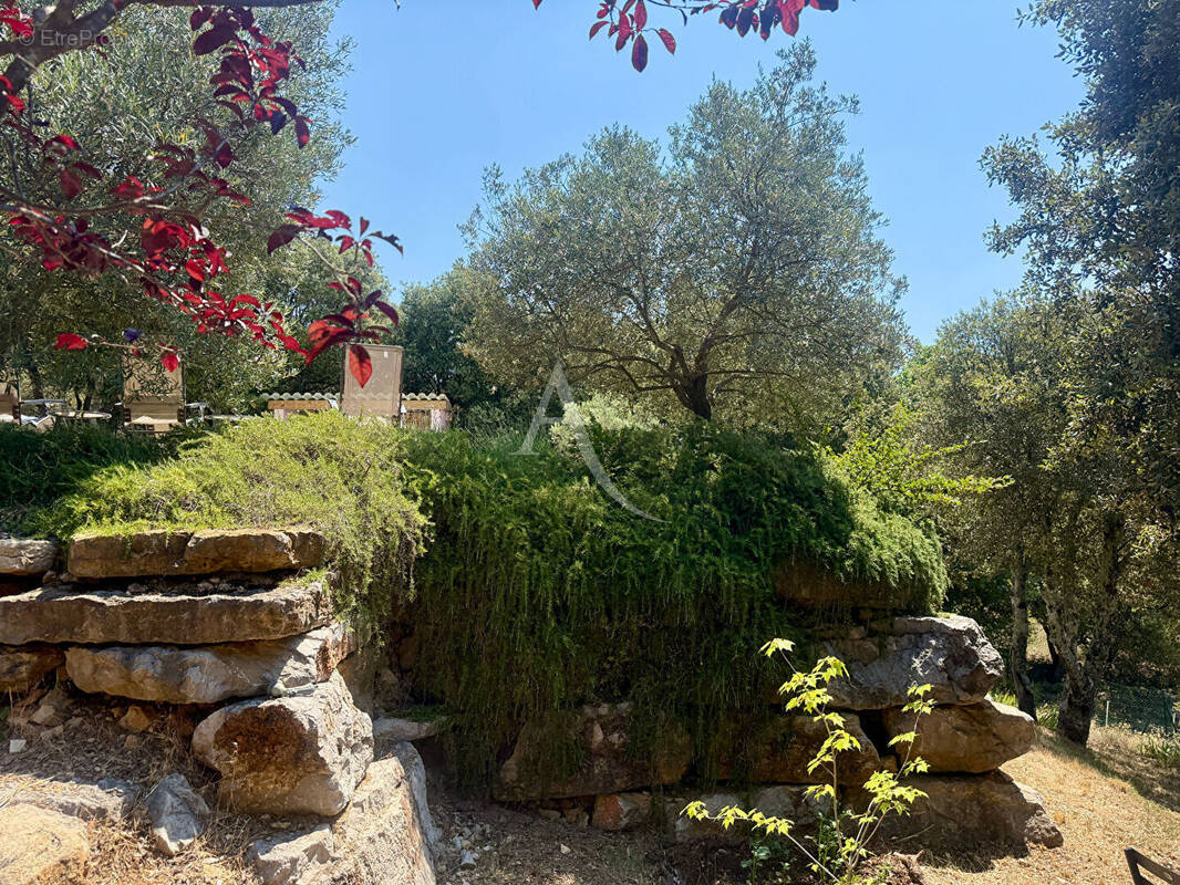 Maison à SAINT-JULIEN