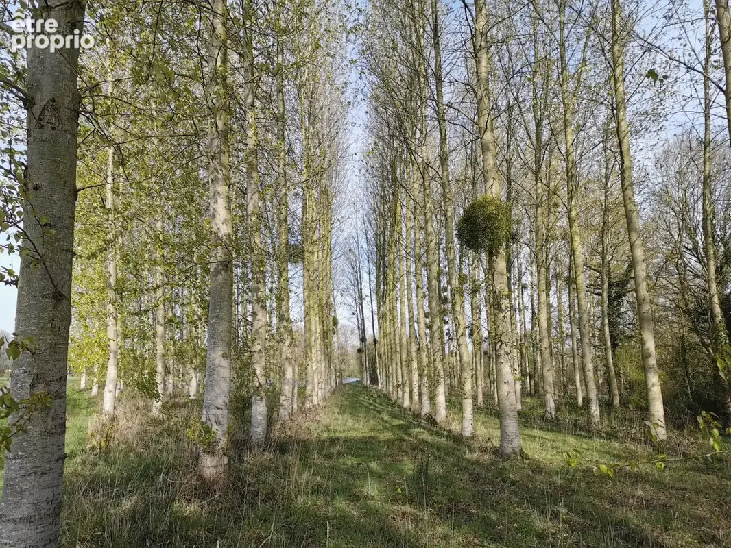 Terrain à CAULNES