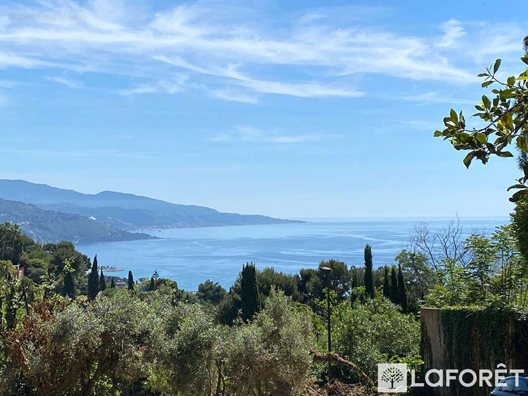 Terrain à ROQUEBRUNE-CAP-MARTIN