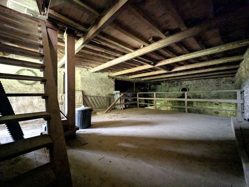 Ancien moulin du xviiie siècle sur plus d'un hectare de terrain – chassigny sous dun (71) - photo 21
