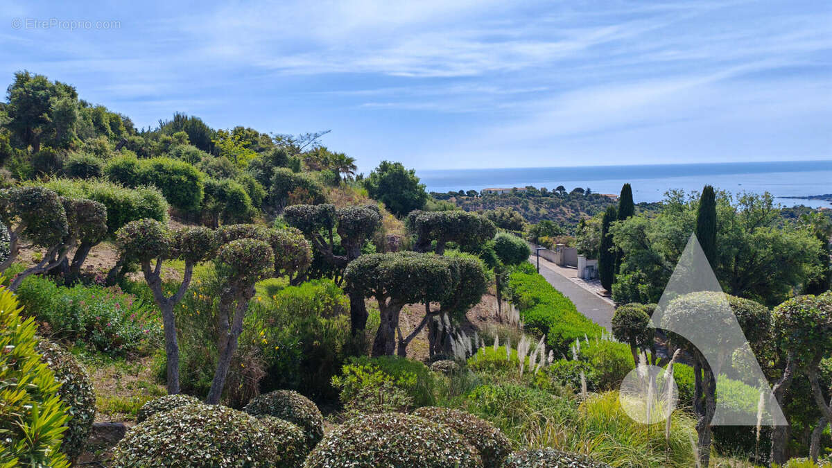 Terrain à SAINTE-MAXIME