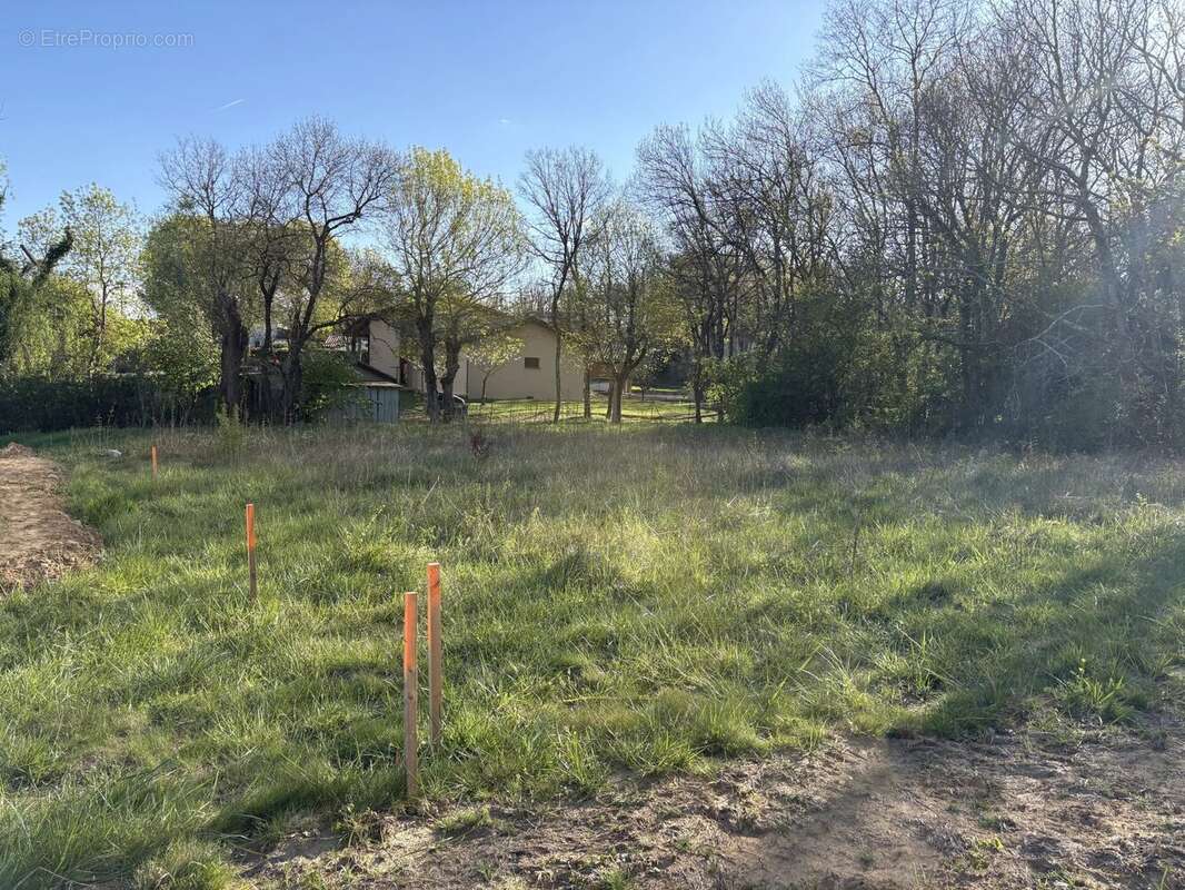 Terrain à LA SALVETAT-SAINT-GILLES