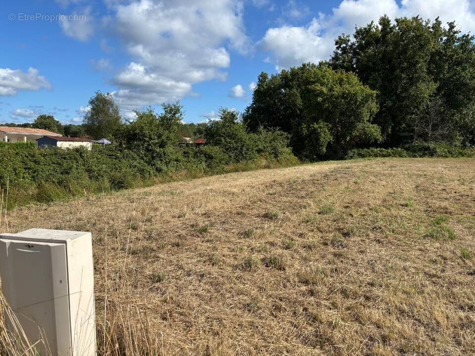 Terrain à LEGE-CAP-FERRET
