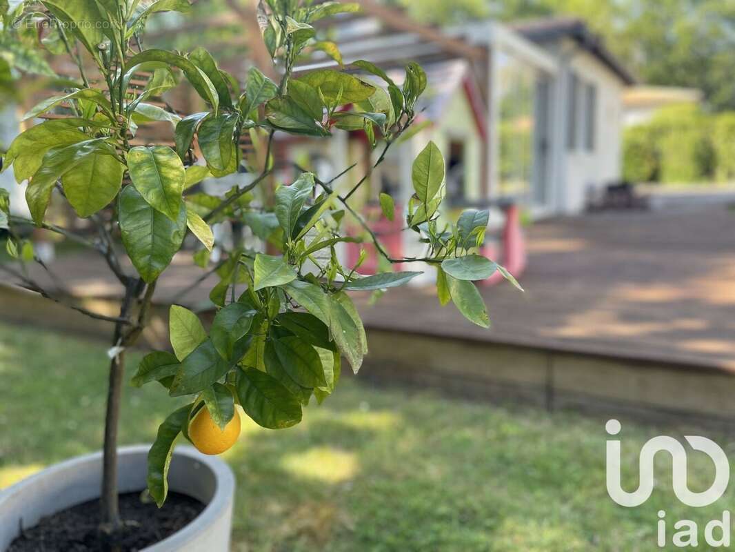 Photo 9 - Maison à BREUILLET