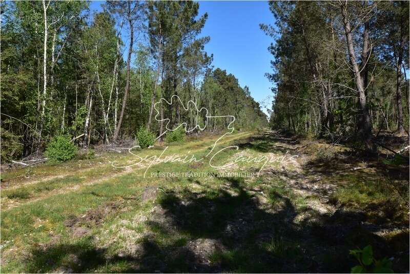 Territoire de Chasse de 171 hectares en Sologne - photo 2