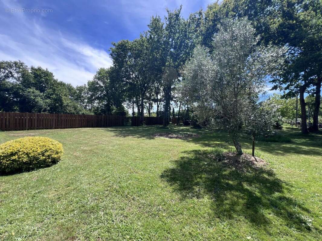 Vente Terrain Arsac(33460) 169 000ï¿œ - photo 3