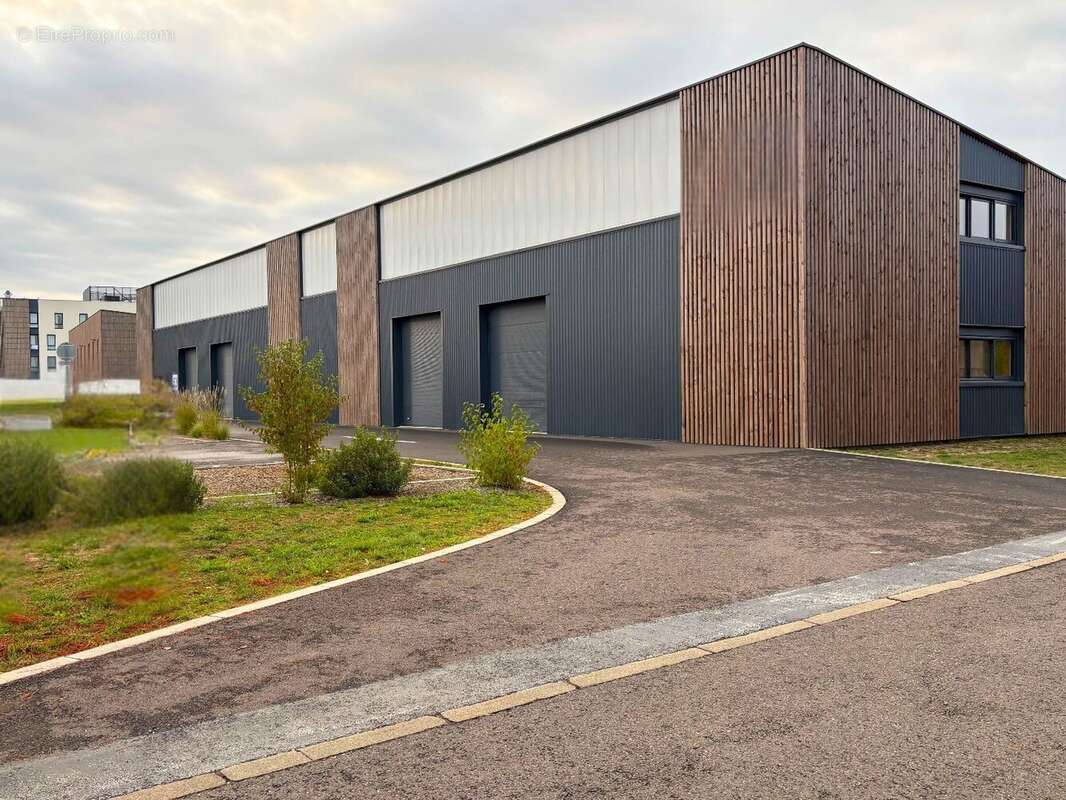 Commerce à SAINT-GEOURS-DE-MAREMNE