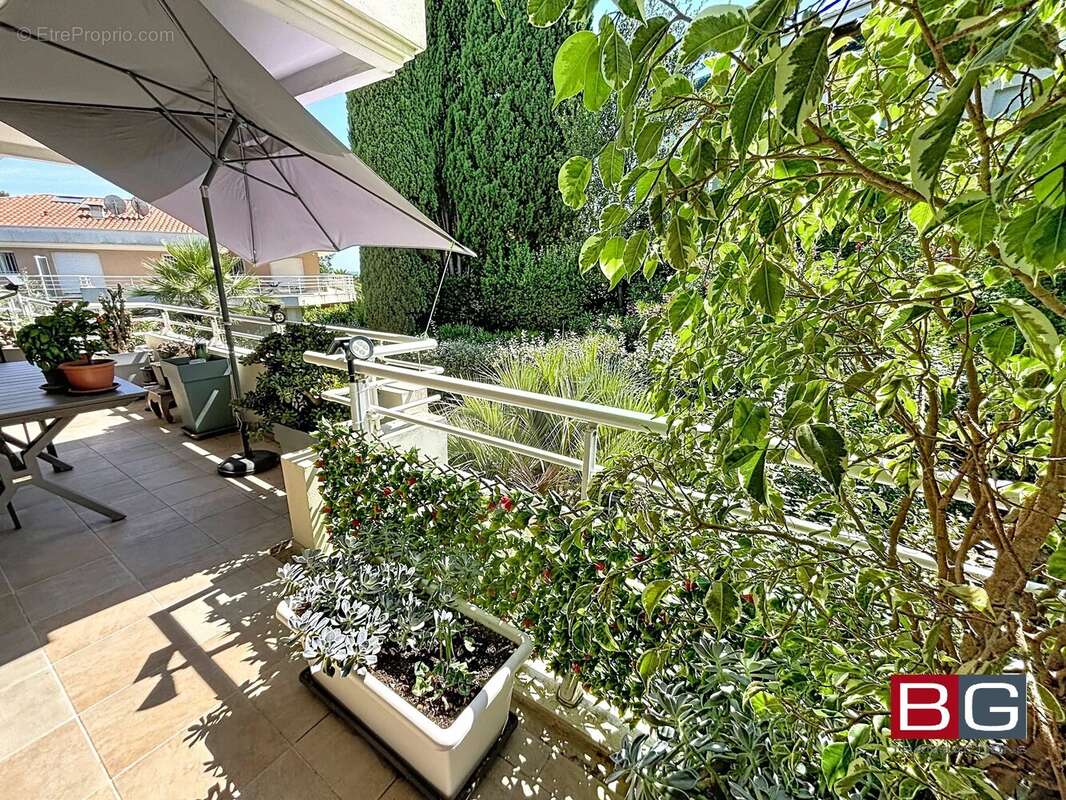Grand 2 P. 52 M² + terrasse 26 m² belle résidence - photo 6