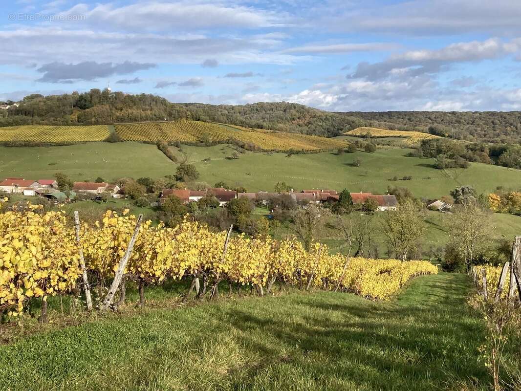 Maison à COIFFY-LE-HAUT