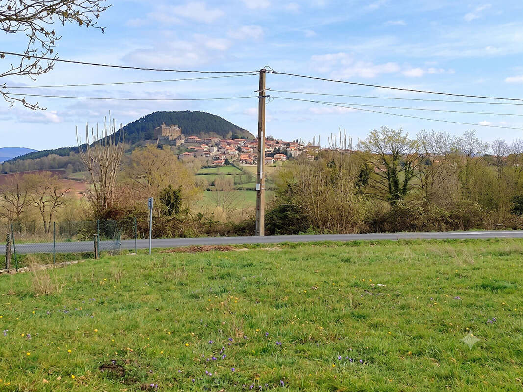 Proche de Coubon centre - photo 3