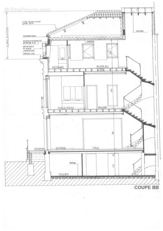TOULOUSE LE BUSCA, Hôtel particulier de 438 m2 - photo 6