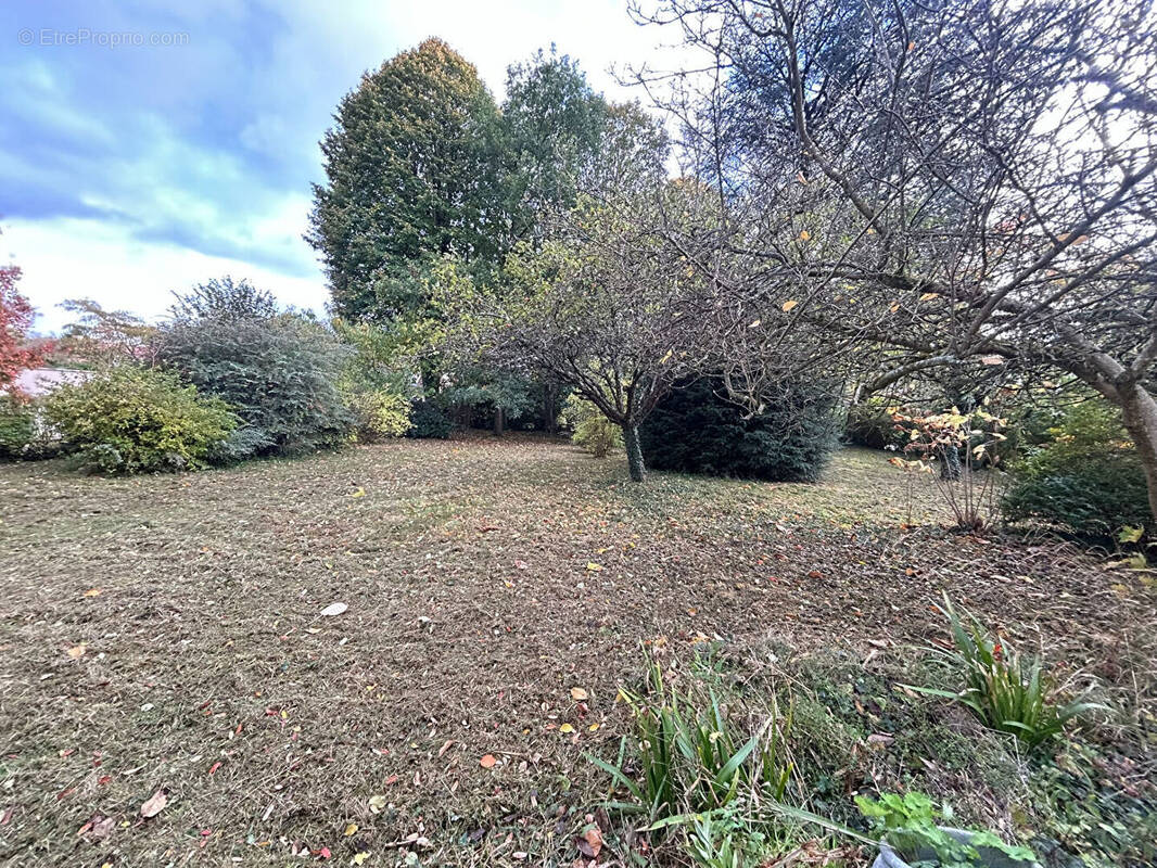 Terrain à MONTIGNY-SUR-LOING