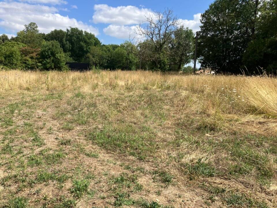 Terrain à ARCHINGEAY